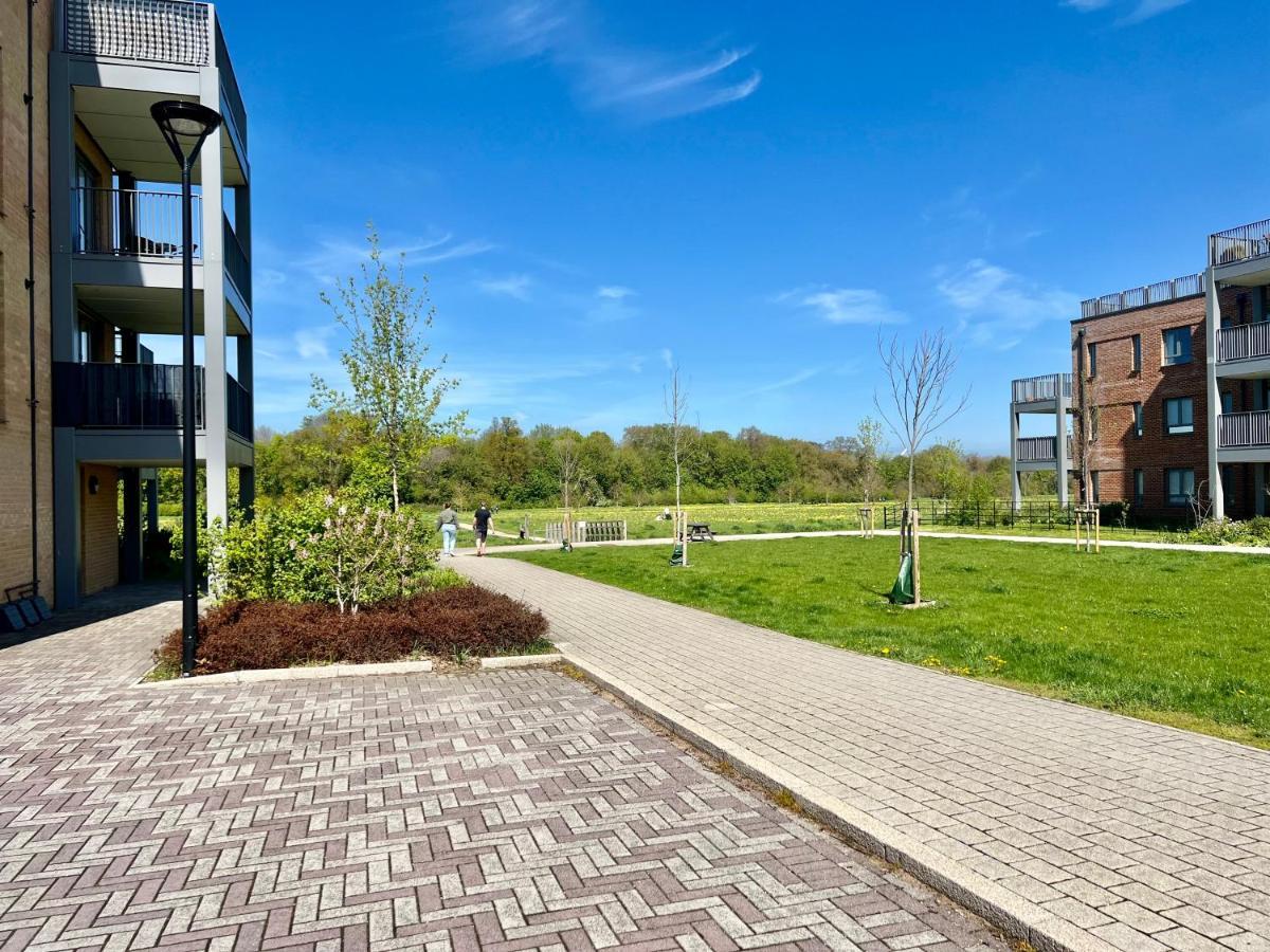 Olea Tree House Apartment Cambridge  Exterior photo